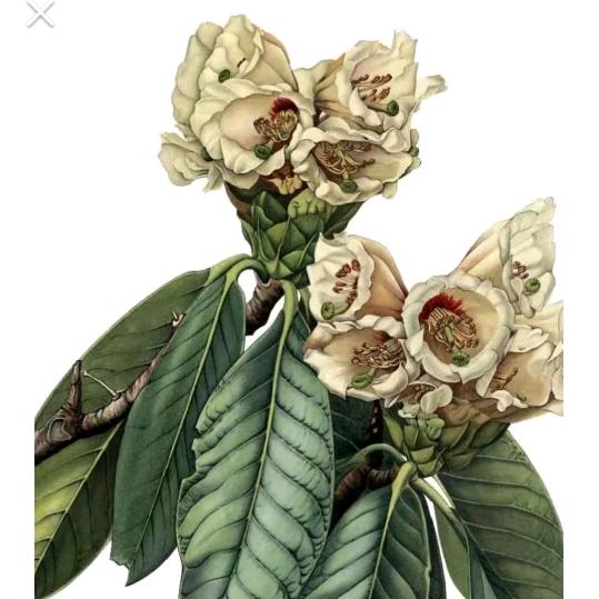 @꧔ꦿ᭄执笔💞画心碎