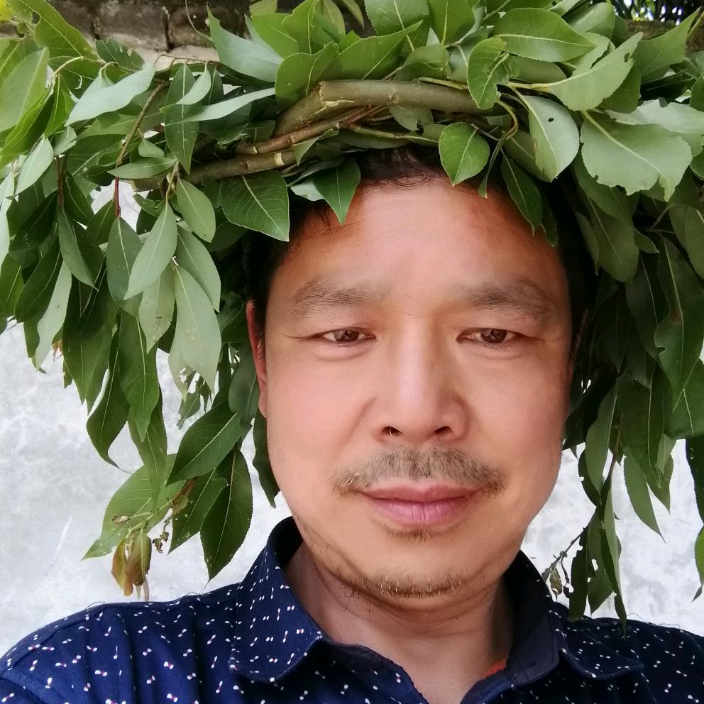 扎根乡村