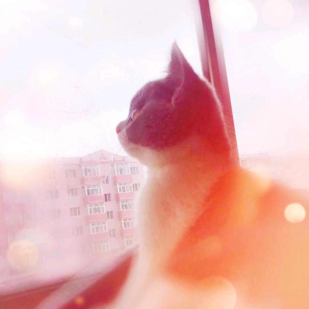💕LING♪💕
