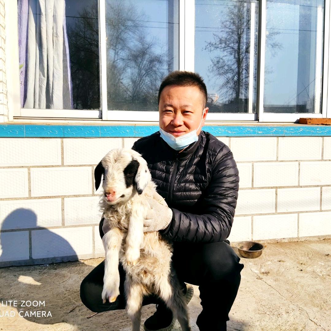 羊汤小白