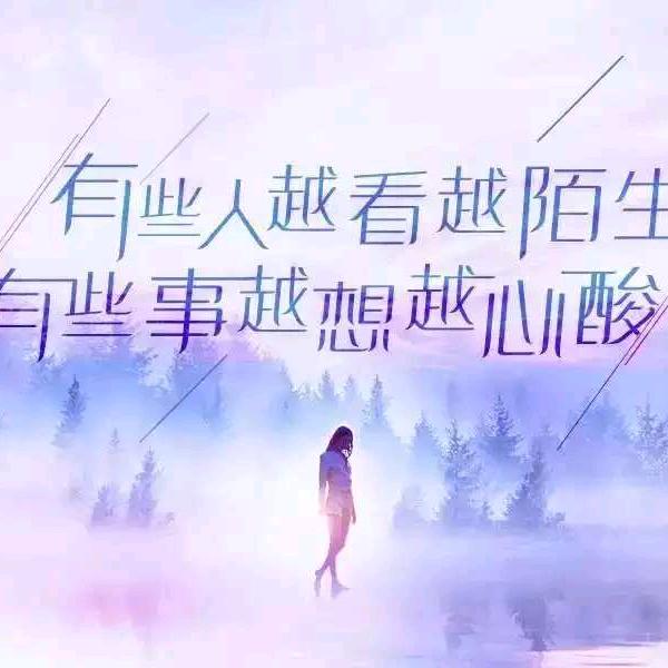 🍀四叶草🍀
