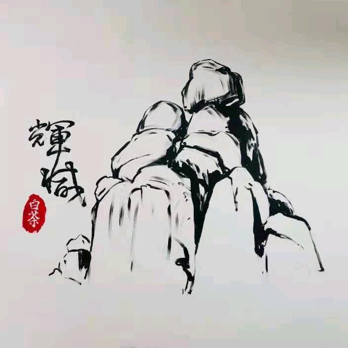 辉藏白茶