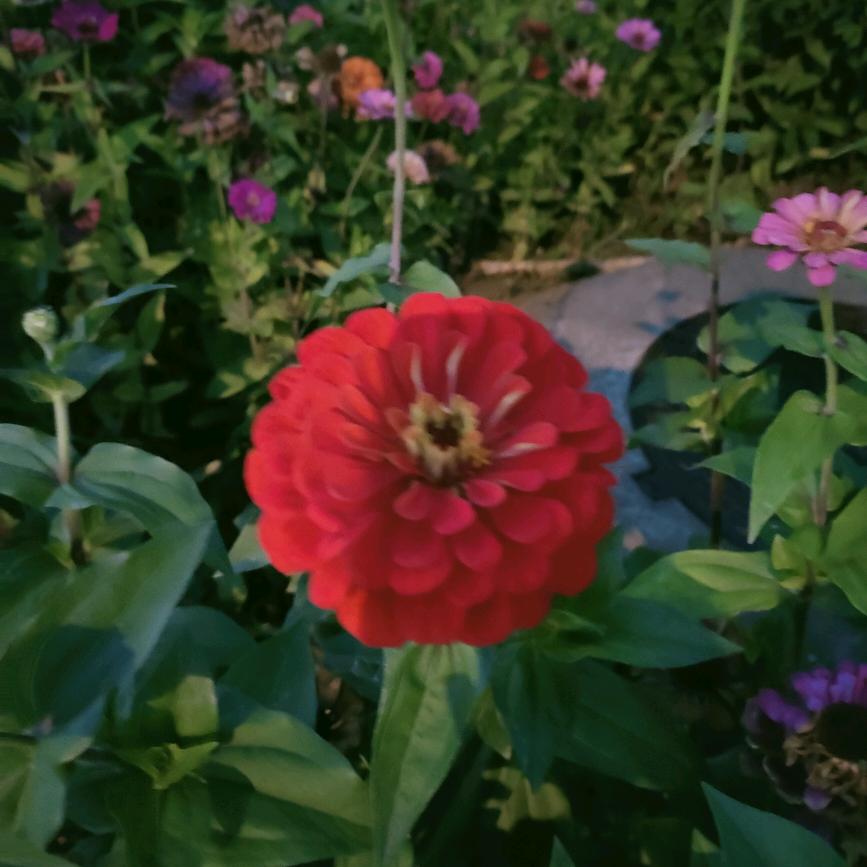 芊@