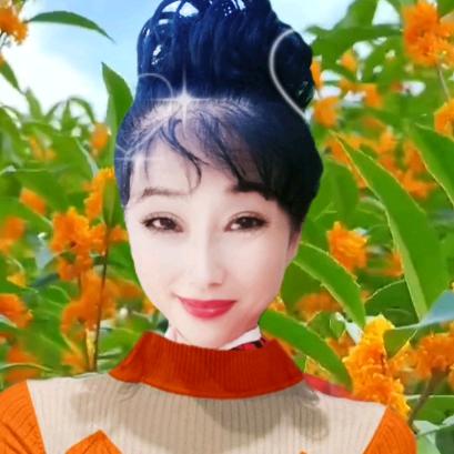 杨对长