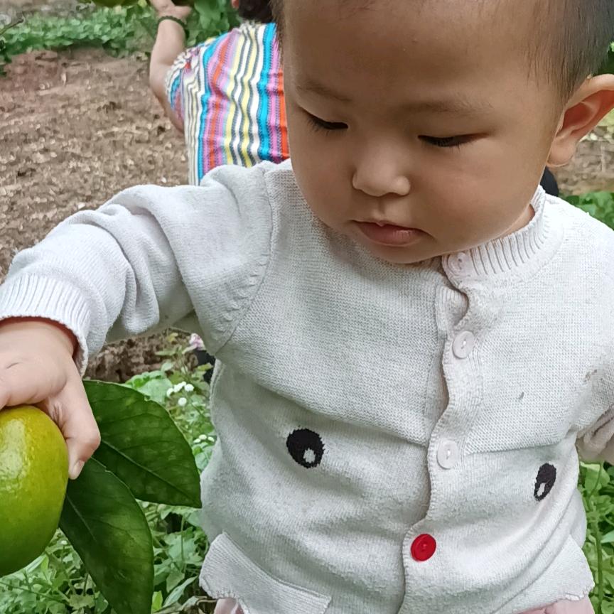 十三妹