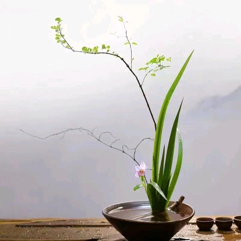 未离东方插花艺术培训