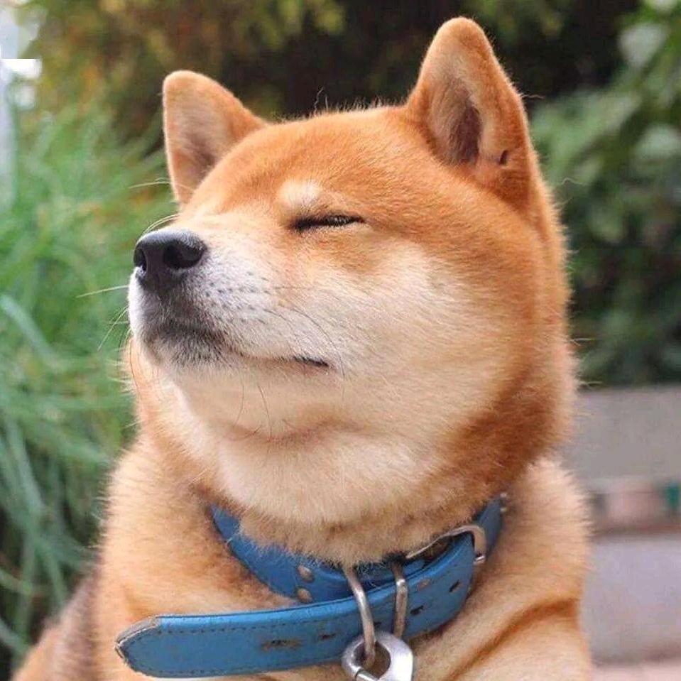 阿龙要早睡