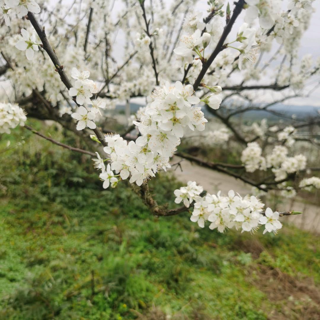 爱比不爱更寂寞