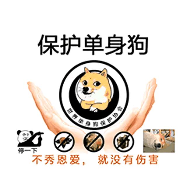 真龙男装