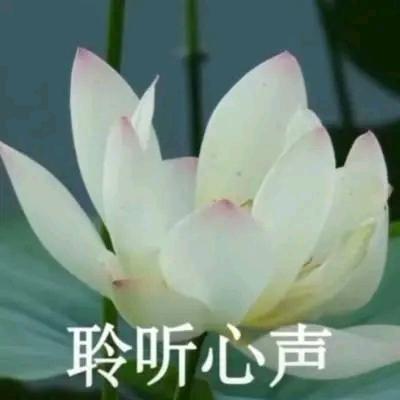 石兄说天下