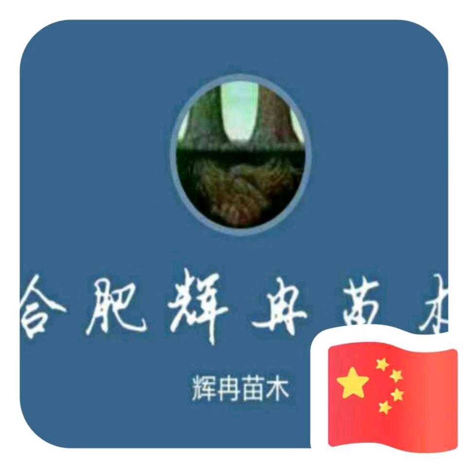 辉冉园林绿化