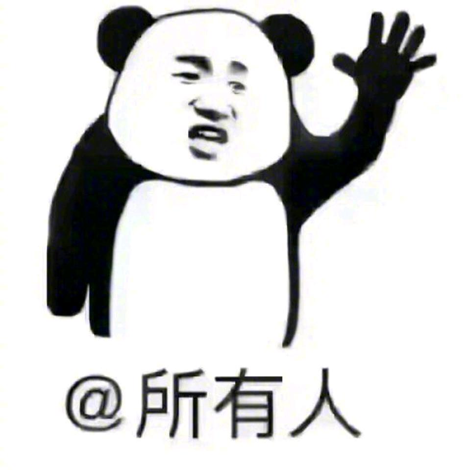 80238558