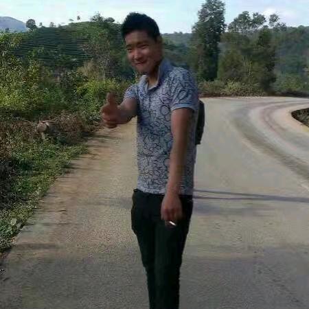 A达州大小爬山虎出租