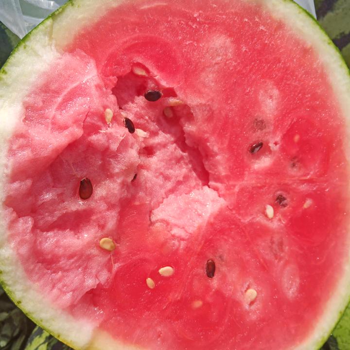 柿柿如意的人生