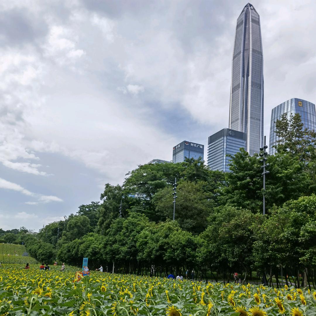 用户1490216570804度度