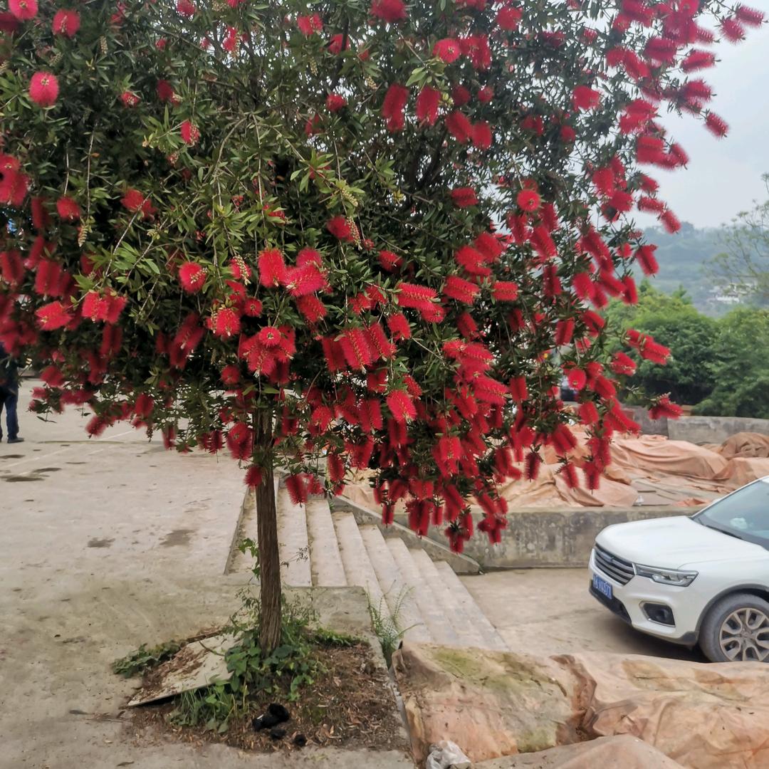 🐷真诚交友🐷💯