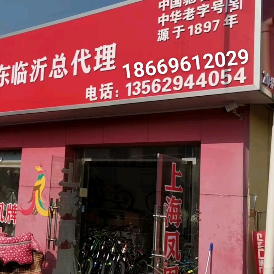 上海凤凰 山地车步步为赢
