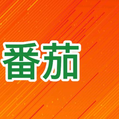 番茄看剧817