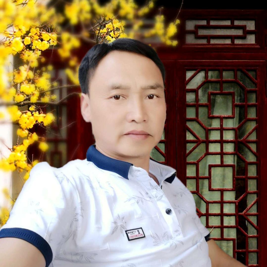 飞翔的蒲公英