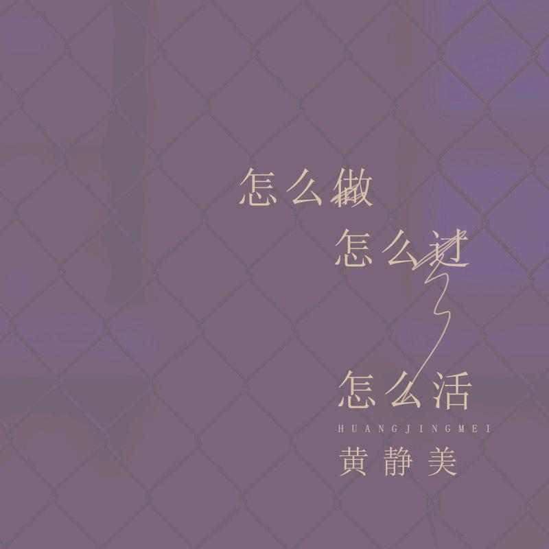 调料批发，加加，麻鬼，金宫，香油，龙滋味