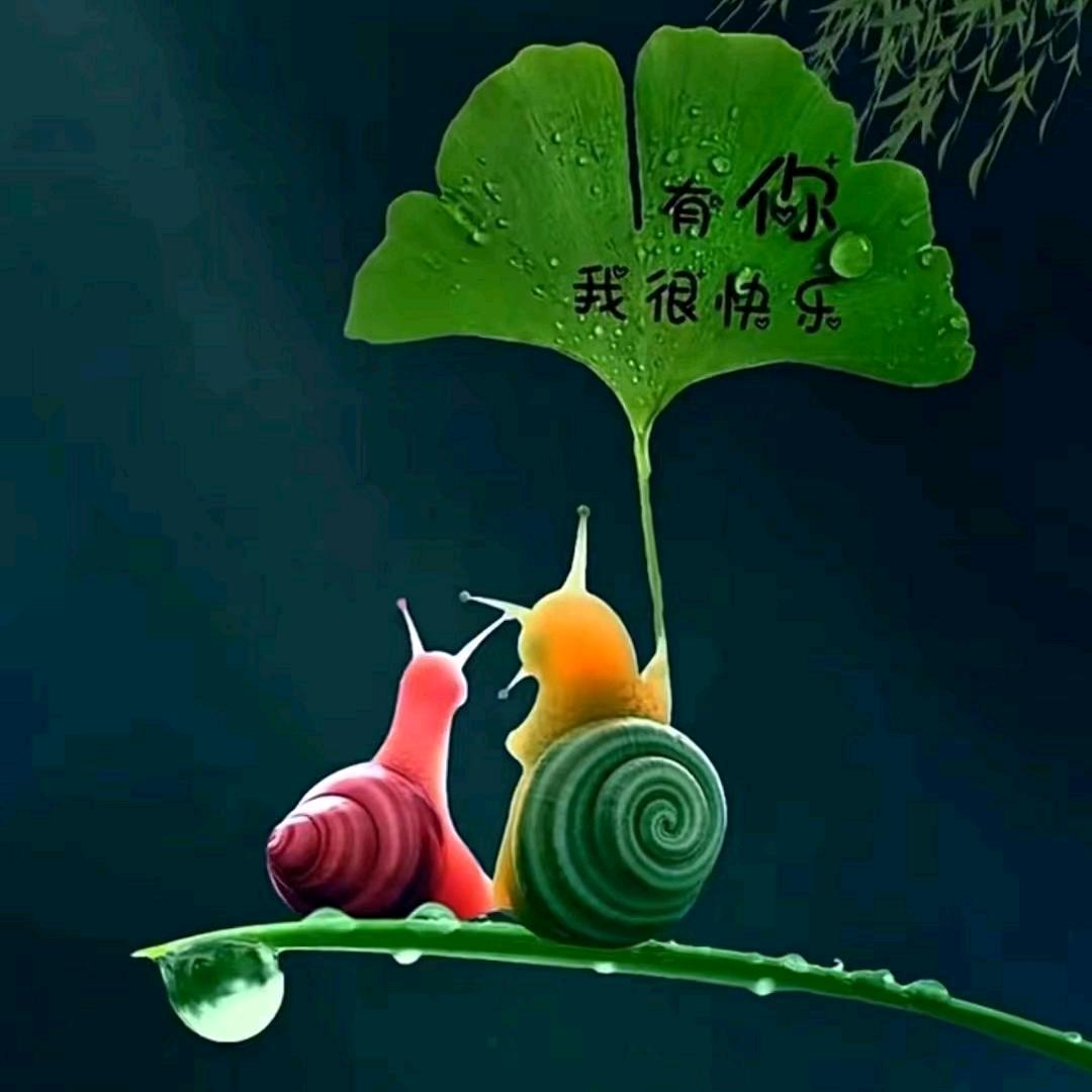 承诺