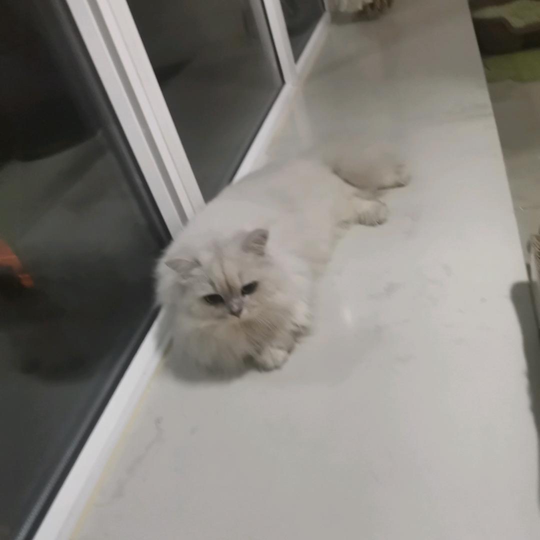 房产租售
