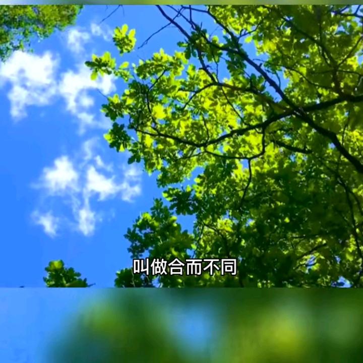 爱美味