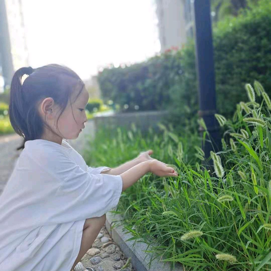 牛牛