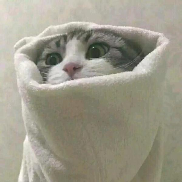 天天sup （S15国服第一芮尔）