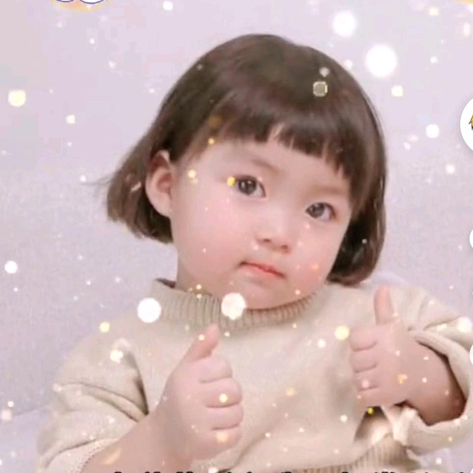 小崽（和平精英）