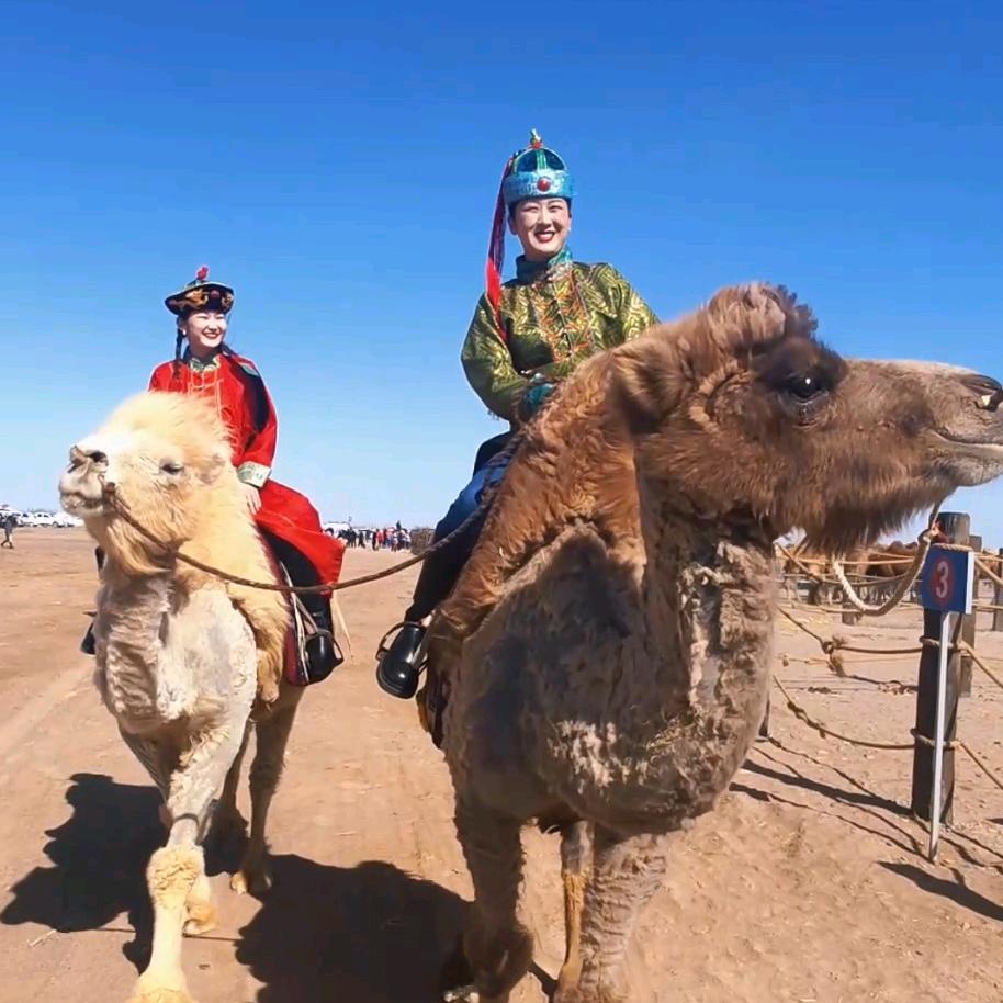 在额济纳遇见我