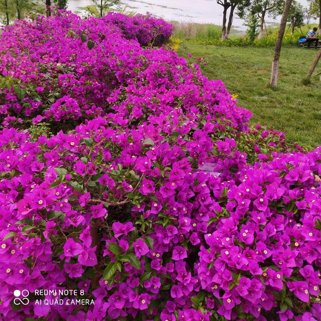 李( ᵒ̴̶̷̤໐ᵒ̴̶̷̤ )