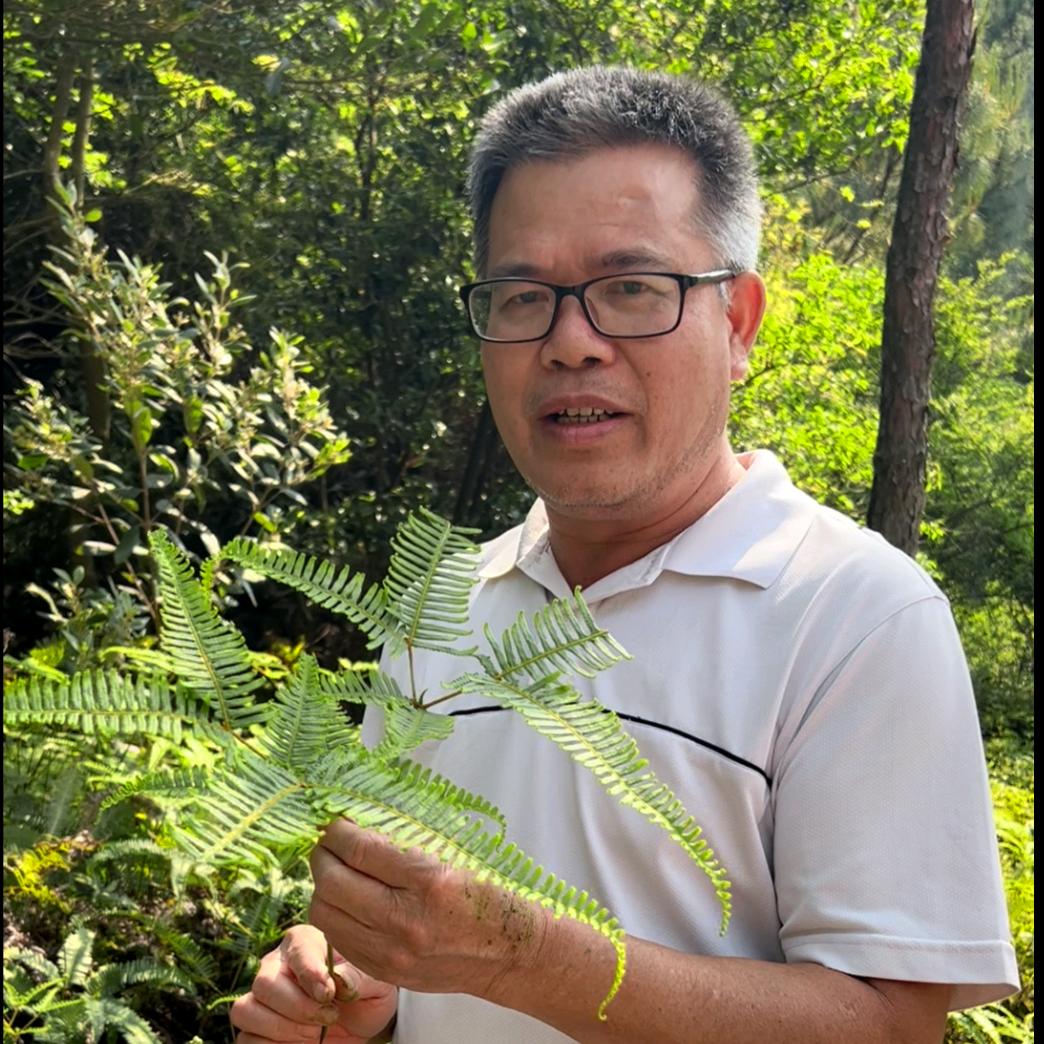 李叔植物说