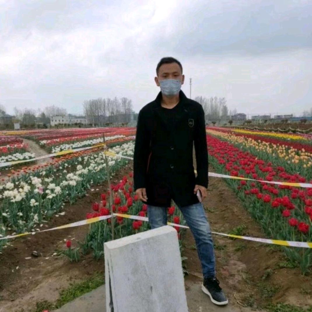 华_253874338