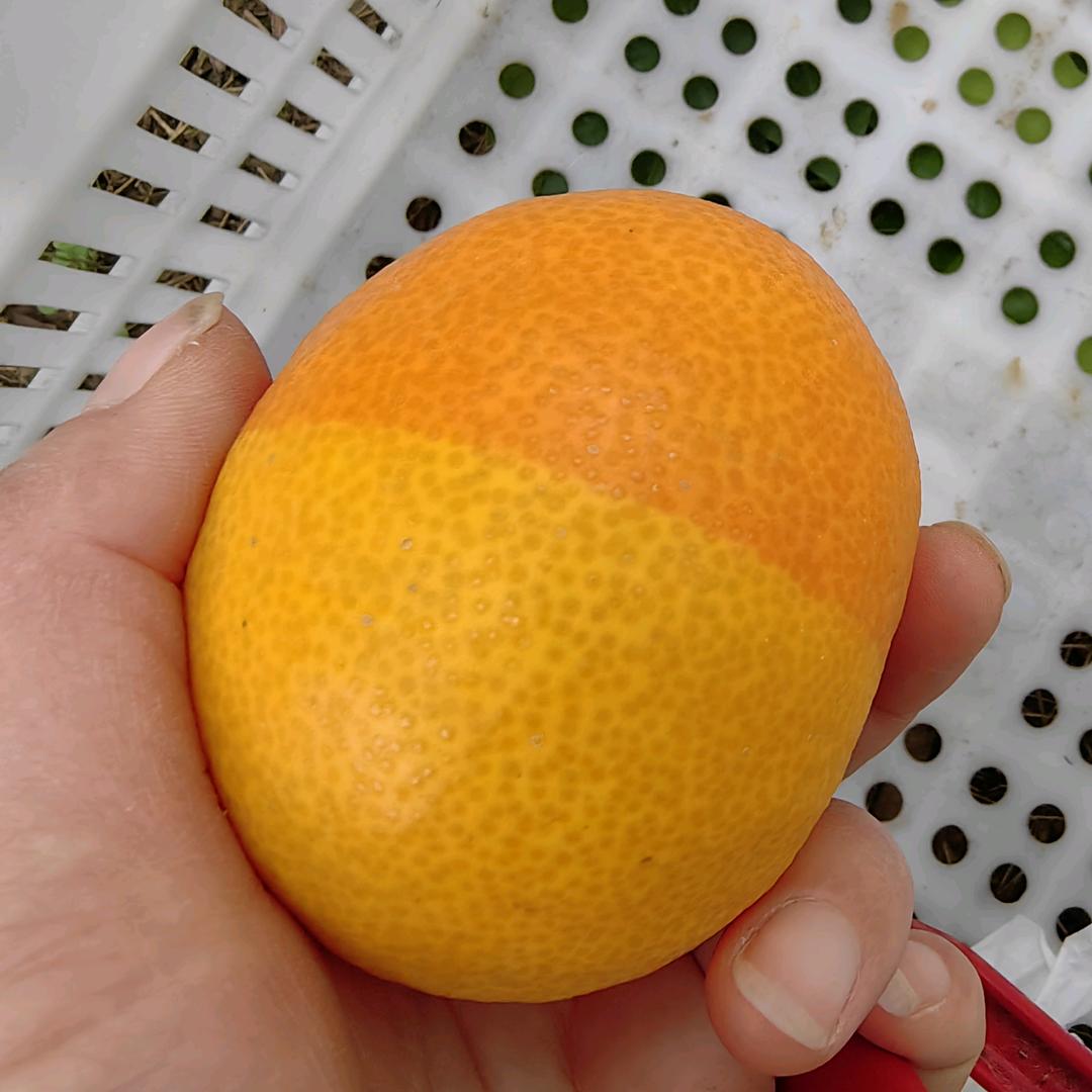 把握青春5747071901