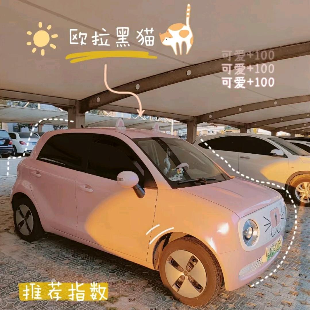 洛阳晨轩新能源