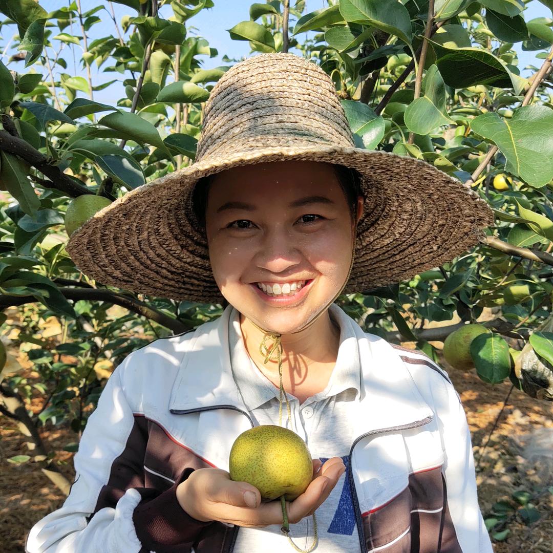 萍乡柿李桃林种养专业合作社