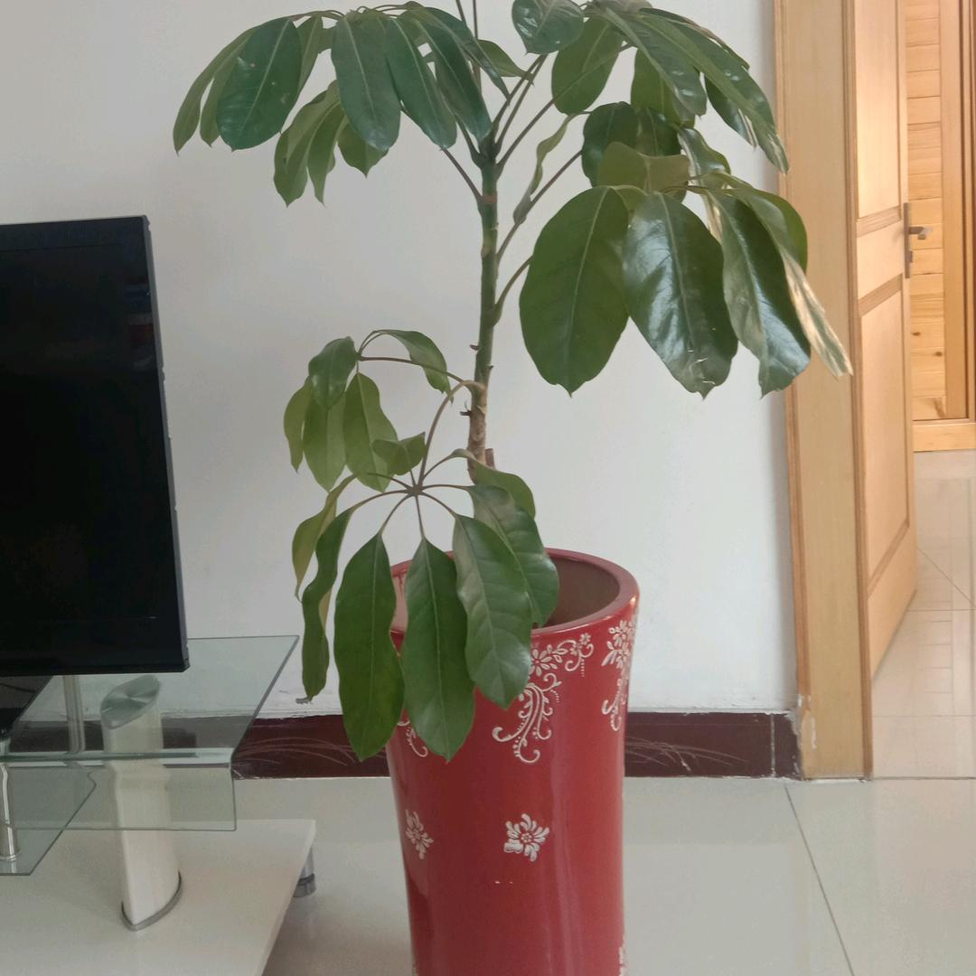 云端³⁶⁸⁸喷燕