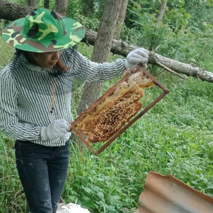 晓蜜园 〈农家土蜂蜜〉