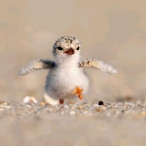 不瘦十斤不改名