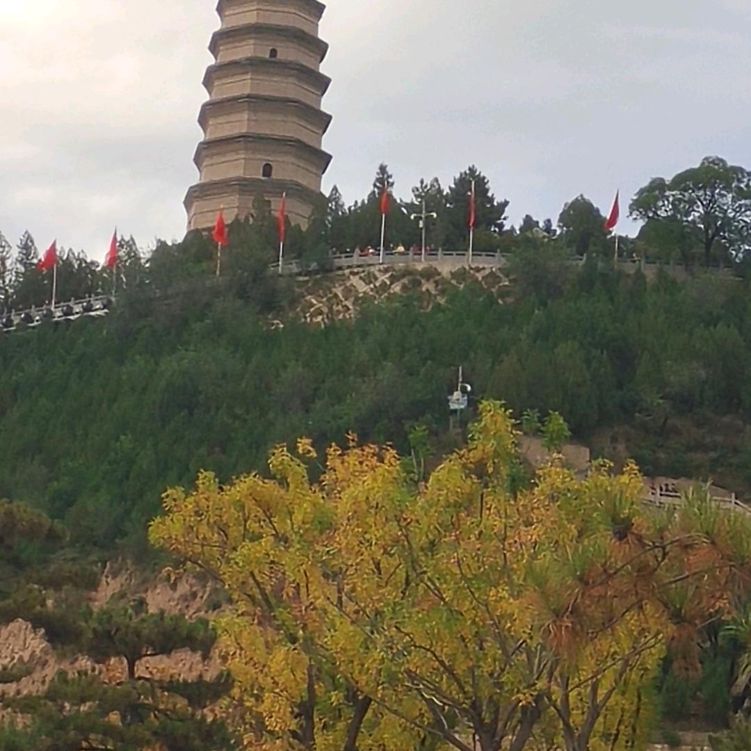 芳草碧连天～