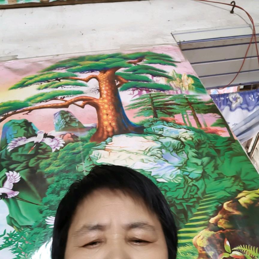 嗯是否看了看，看看阳光了嗯嗯，看手机我赢