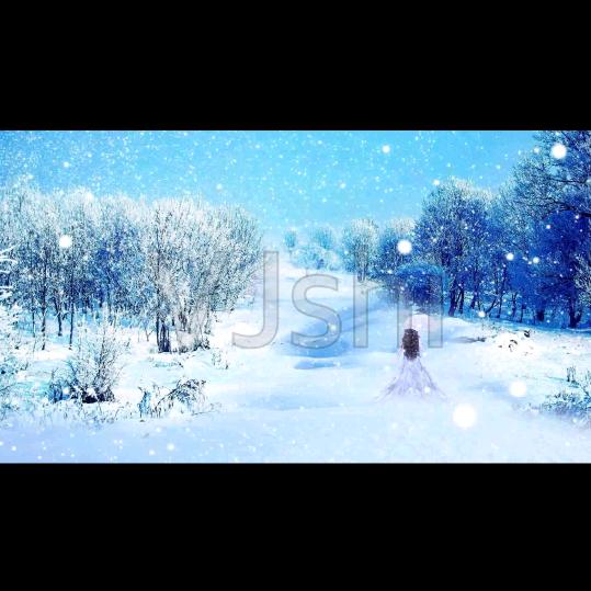 雪中背影