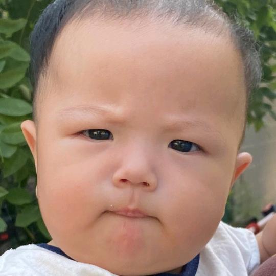 赵豪镝