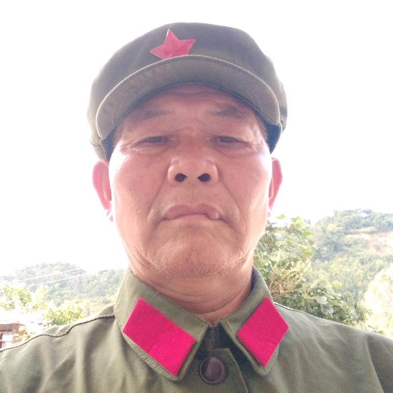 农村老王