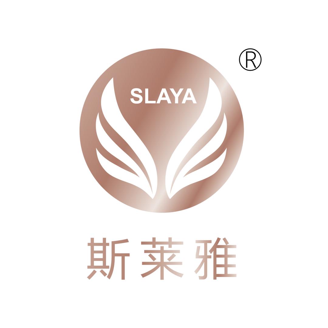 东莞市斯莱雅电子科技有限公司