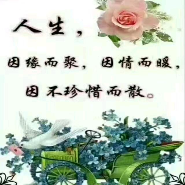 流浪人生