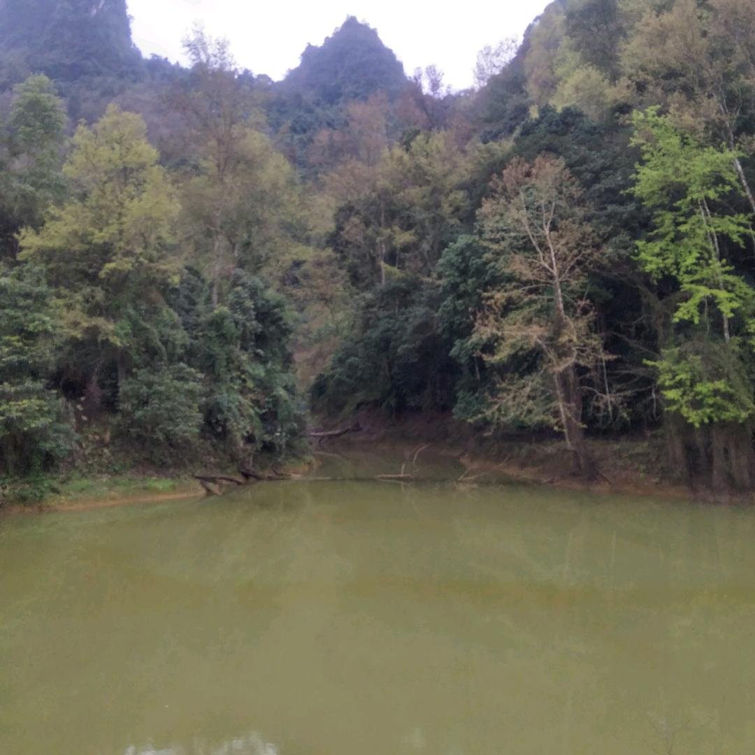 点燃希望