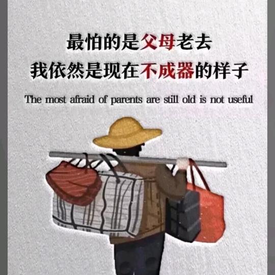 🌹深夜里的半支烟🌹