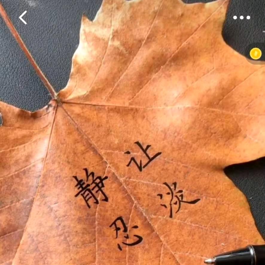 森林缘